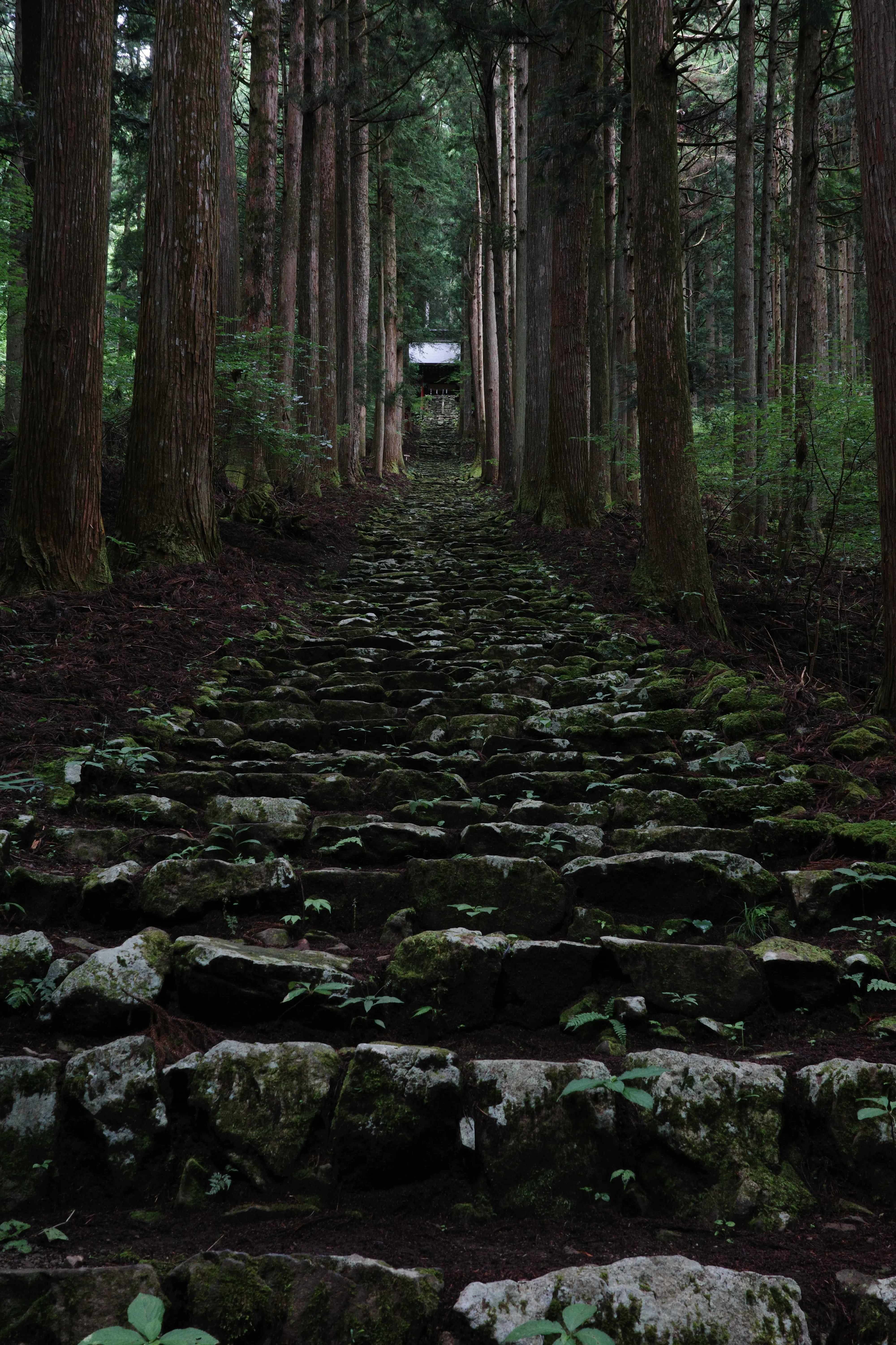 写真：氷川神社の階段