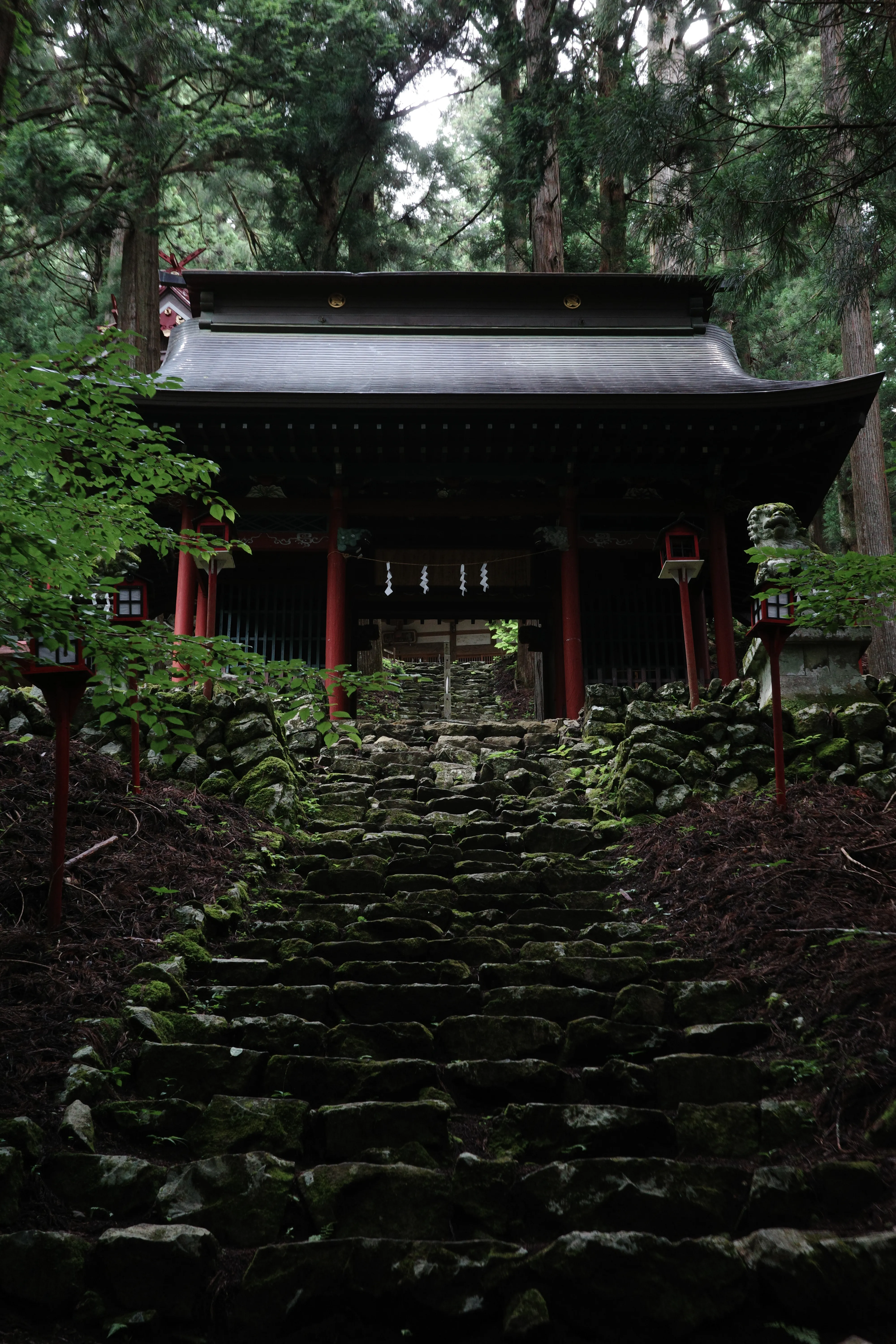 写真：氷川神社の景色