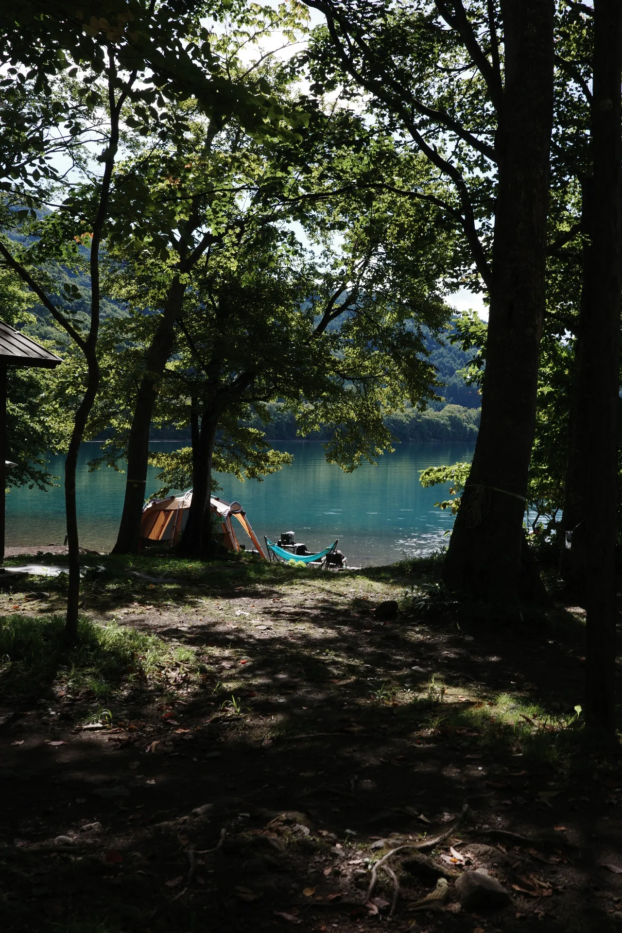 写真：洞爺湖畔に立てられたテントとハンモック