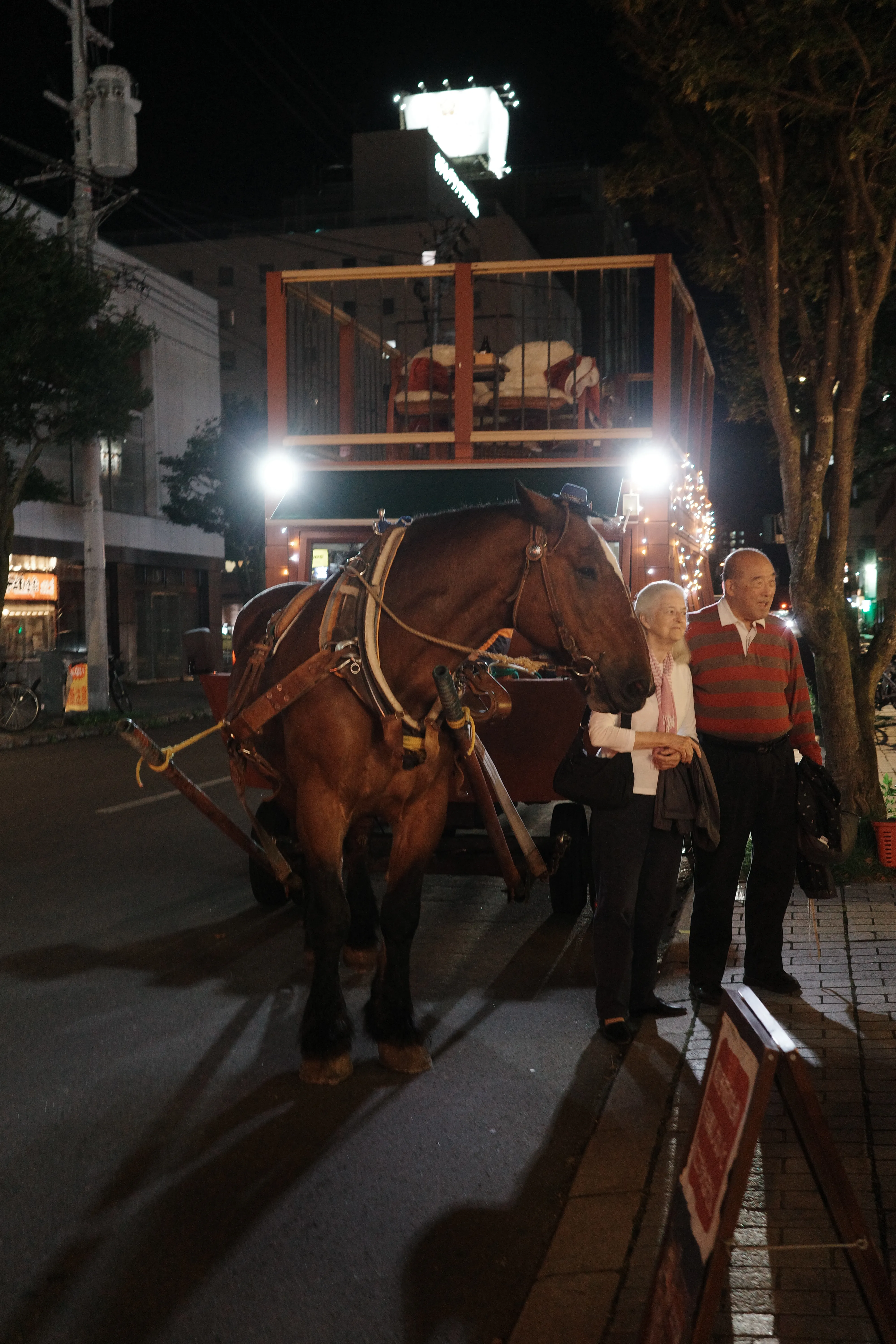 写真：帯広の街中で出会った馬車