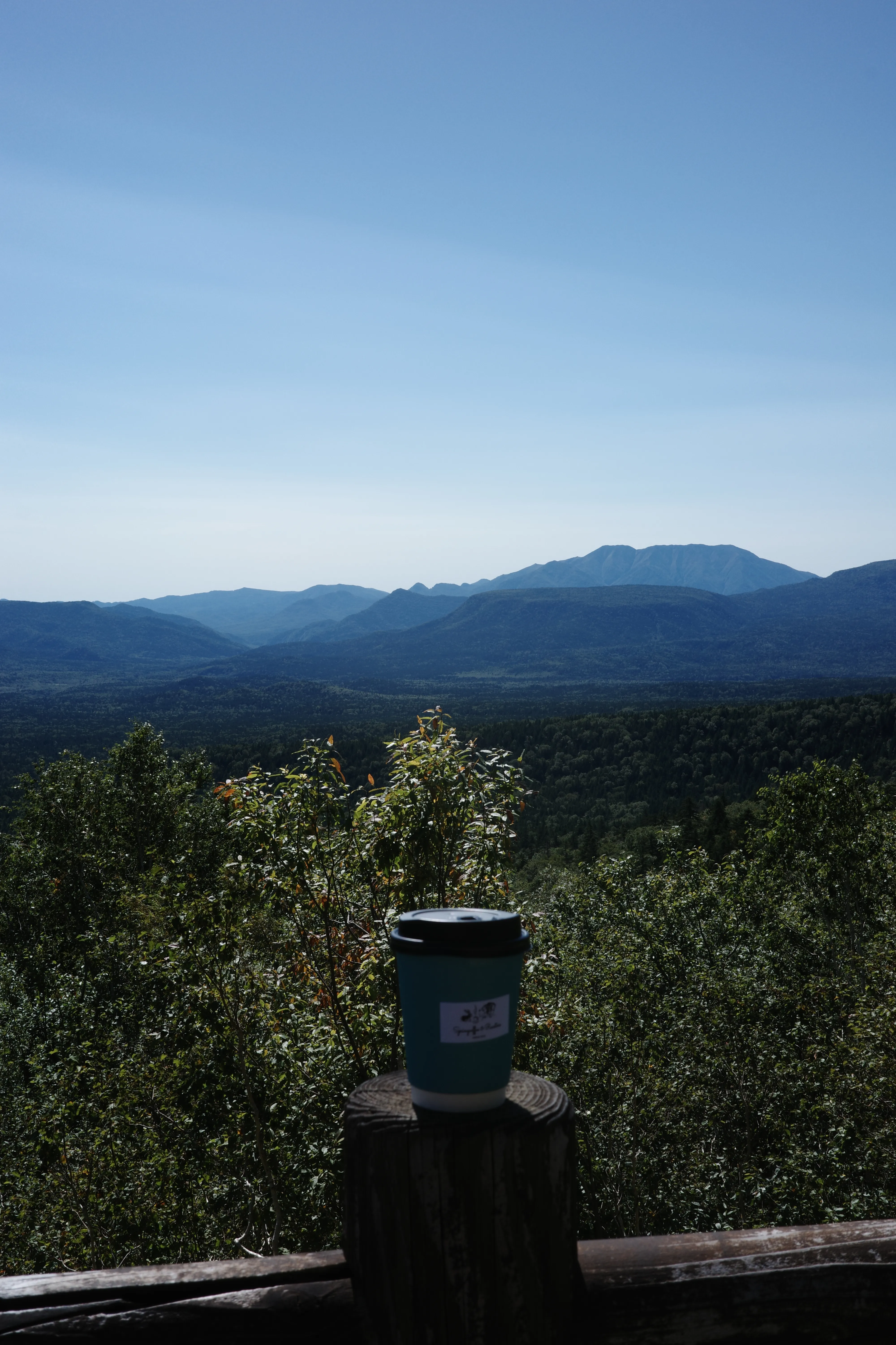 写真：三国峠展望台の景色