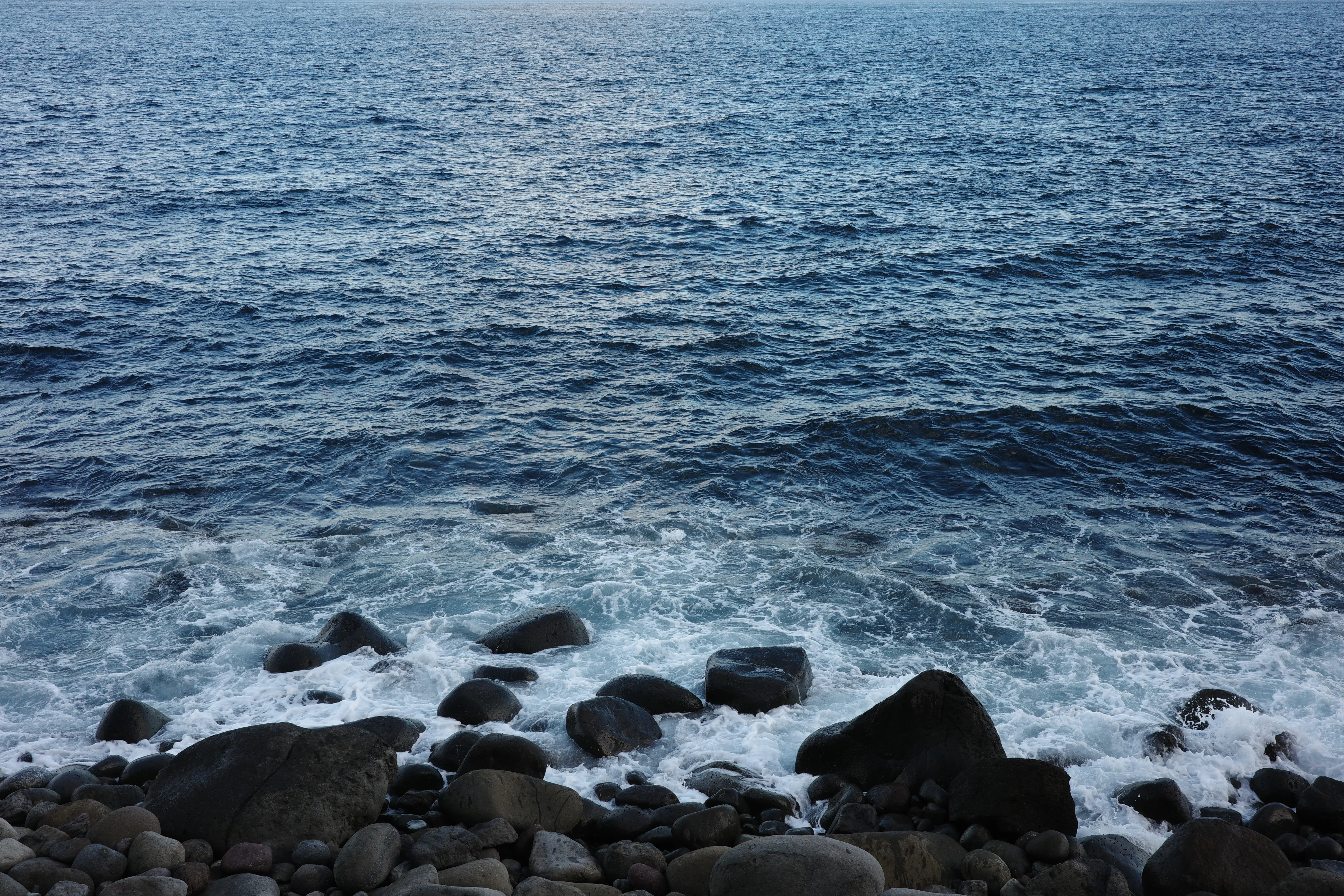 写真：東伊豆の海
