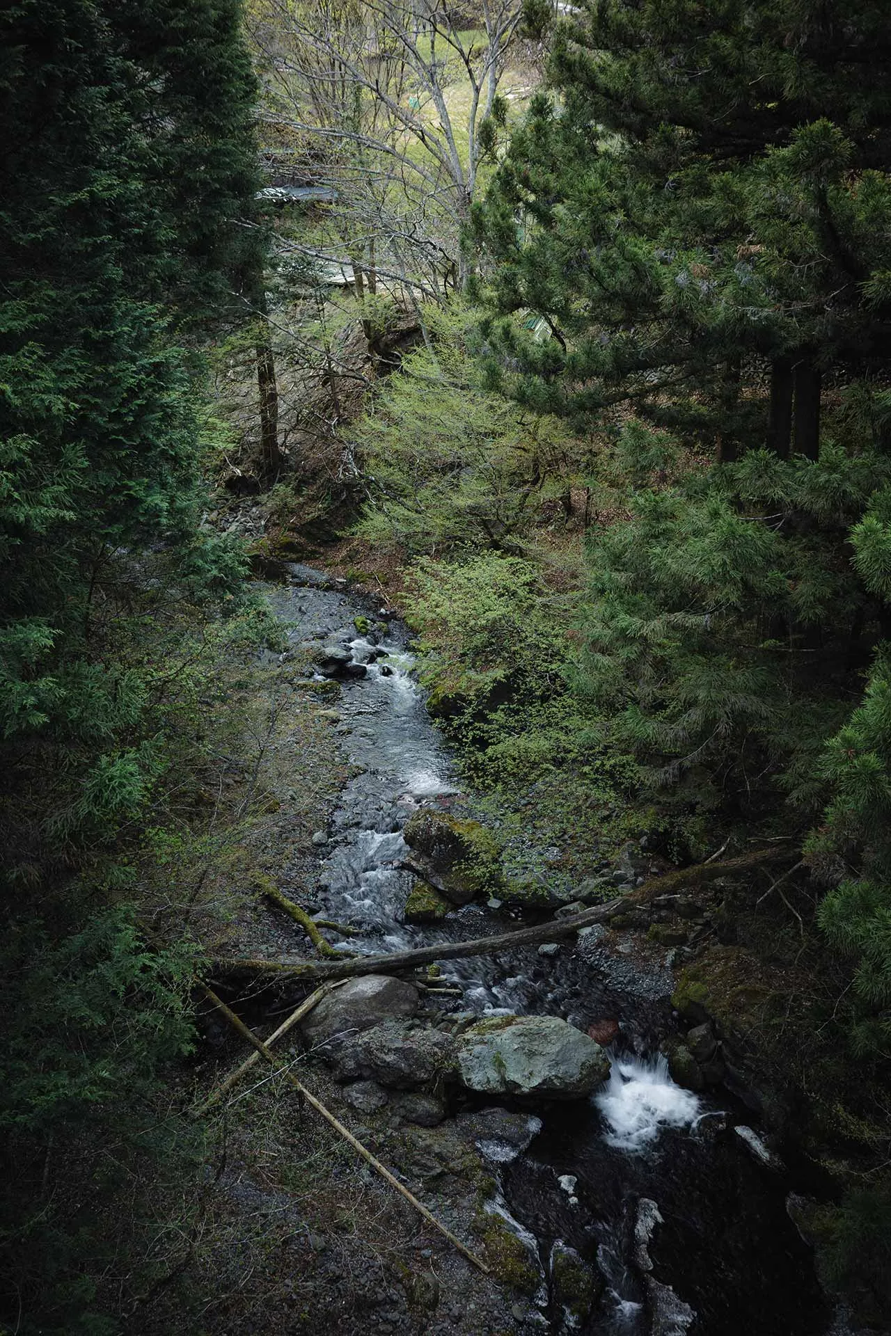 奥多摩の山奥